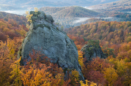 Rocks towering over the colorful autumn beech forestの写真素材