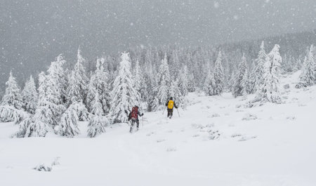 Two hikers go down the snow slope during the snowfallの写真素材