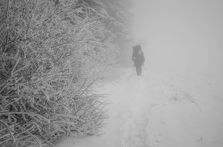 Lonely hiker walks the snowy route with fog and trees around himの写真素材