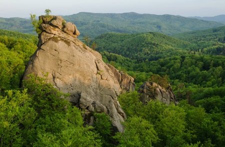 Rocks towering over green spring beech forestの写真素材