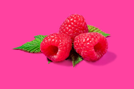 Raspberry with leaves isolated on a pink background. Fresh raspberries.