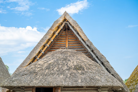 Traditional thatched roof of a house in the village of Istria, Croatiaの写真素材