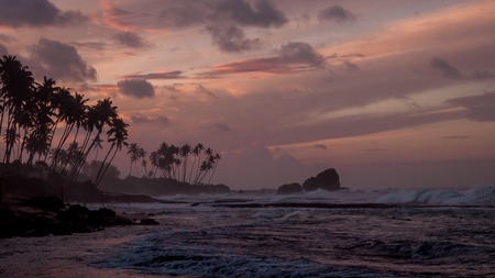 Dawn on the island of Ceylon. Sunrise over the ocean. Beautiful nature. Sri Lanka.の写真素材