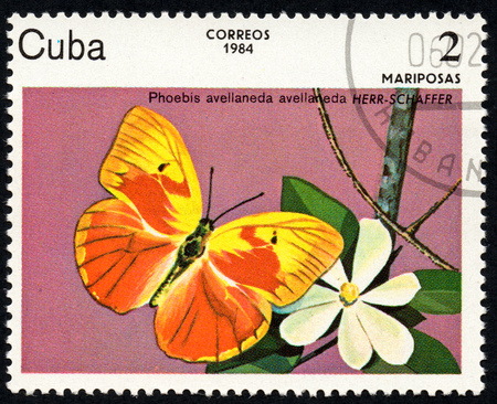 UKRAINE - CIRCA 2017: A stamp printed in Cuba, shows image of a butterfly Phoebis avellaneda HERR-SCHAFFER close-up, circa 1984のeditorial素材