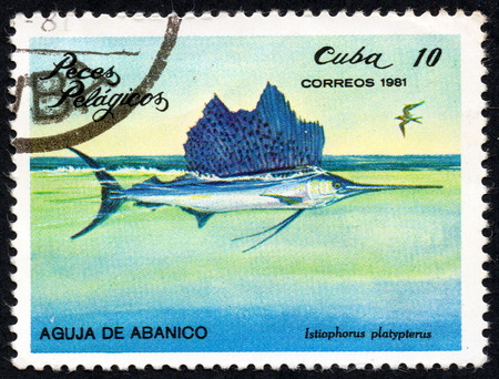 UKRAINE - CIRCA 2017: A stamp printed in Cuba, shows the a fish Fan needle (Istiophorus platypterus) the series Pelagic Fish, circa 1981のeditorial素材