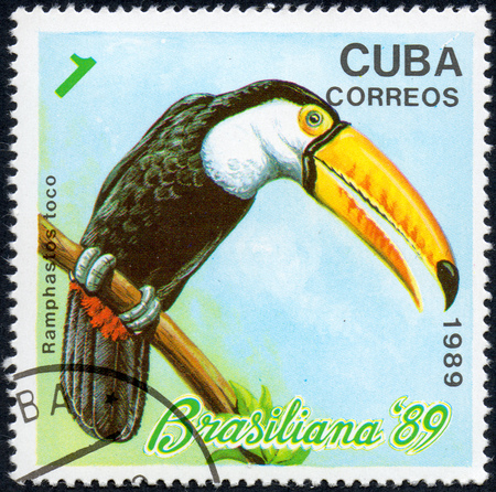 UKRAINE - CIRCA 2017: A stamp printed in Cuba, shows a bird Toucan Ramphastos toco, the series Brasiliana '89, circa 1989のeditorial素材