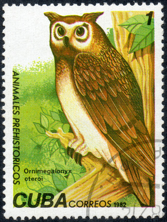 UKRAINE - CIRCA 2017: A stamp printed in Cuba, shows a extinct bird Ornimegalonyx oteroi, the series Prehistoric animals, circa 1982のeditorial素材