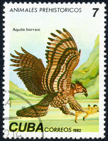 UKRAINE - CIRCA 2017: A stamp printed in Cuba, shows a extinct bird hawk Aquila borrasi, the series Prehistoric animals, circa 1982のeditorial素材