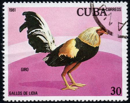 UKRAINE - CIRCA 2017: A stamp printed in Cuba, shows a cock Giro, the series Fighting cocks, circa 1981のeditorial素材