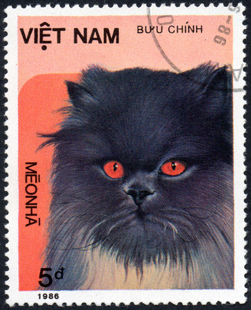 VIETNAM - CIRCA 2017: A Stamp printed in Vietnam shows beautiful domestic cat, series Domestic Cats, circa 1986のeditorial素材