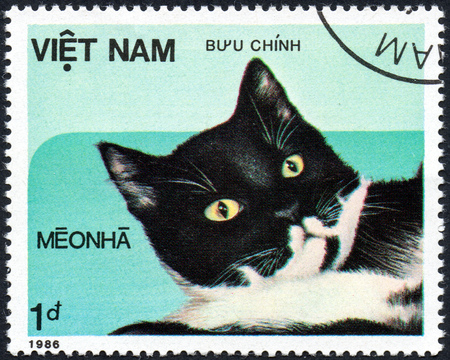 VIETNAM - CIRCA 2017: A Stamp printed in Vietnam shows beautiful domestic cat, series Domestic Cats, circa 1986のeditorial素材