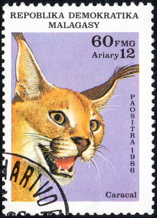 UKRAINE - CIRCA 2017: A stamp printed in Malagasy Madagascar, shows Steppe lynx Caracal, circa 1986のeditorial素材