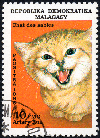 UKRAINE - CIRCA 2017: A stamp printed in Malagasy Madagascar, shows Chat des sables cat, circa 1986のeditorial素材