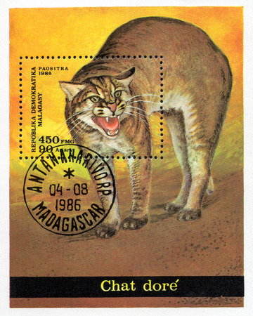 UKRAINE - CIRCA 2017: A stamp printed in Malagasy Madagascar, shows Chaus panther, circa 1986のeditorial素材