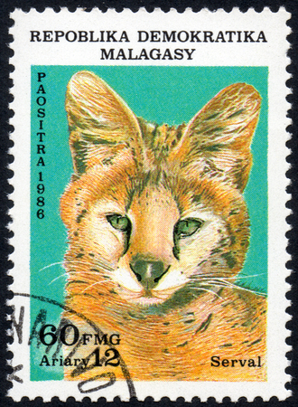 UKRAINE - CIRCA 2017: A stamp printed in Malagasy Madagascar, shows Serval, circa 1986のeditorial素材