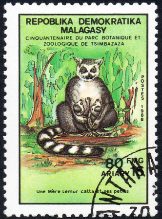 UKRAINE - CIRCA 2017: A stamp printed in Malagasy Madagascar shows Ring-tailed lemur with calves Lemur Catta, serie Fiftieth anniversary of the botanical and zoological park of Tsimbazaza, circa 1988のeditorial素材