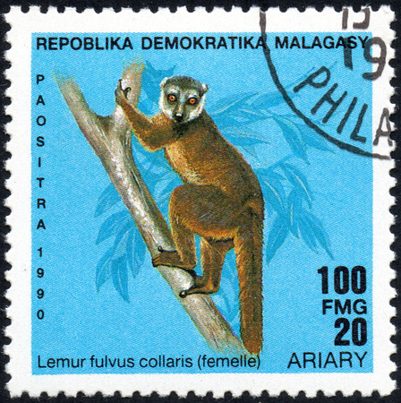 UKRAINE - CIRCA 2017: A stamp printed in Malagasy Madagascar shows Lemur fulvus collaris femelle, circa 1990のeditorial素材