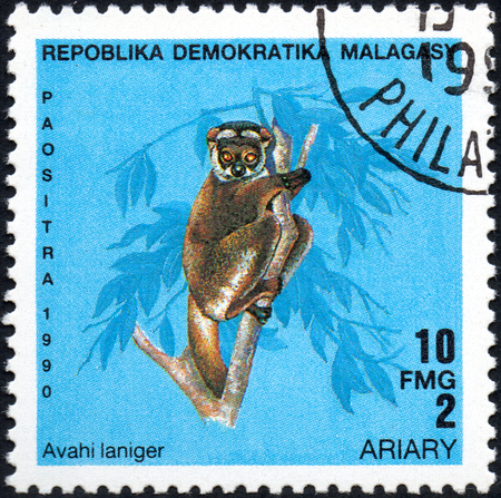 UKRAINE - CIRCA 2017: A stamp printed in Malagasy Madagascar shows Lemur Avahi laniger, circa 1990のeditorial素材