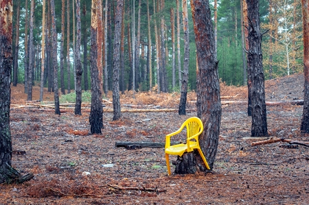 Landscape in a coniferous forest on a clear autumn day. Abandoned plastic yellow chair.の写真素材