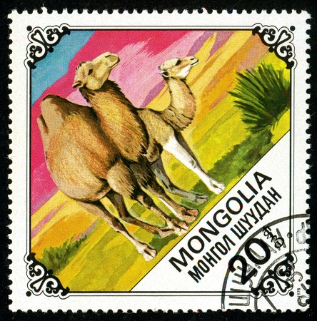Ukraine - circa 2018: A postage stamp printed in Mongolia shows drawing Bactrian Camel, Camelus bactrianus. Series: Camels. Circa 1978.のeditorial素材