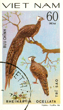 Ukraine - circa 2018: A postage stamp printed in Vietnam shows drawing Crested Argus - Rheinartia ocellata. Series: Pheasants. Circa 1978.のeditorial素材