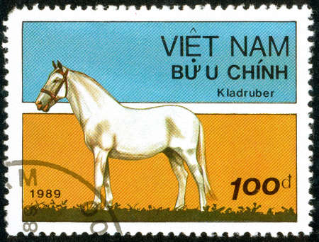 Ukraine - circa 2018: A postage stamp printed in Vietnam show horse of the breed Kladruber Horse or Equus ferus caballus. Series: Horses. Circa 1989.のeditorial素材