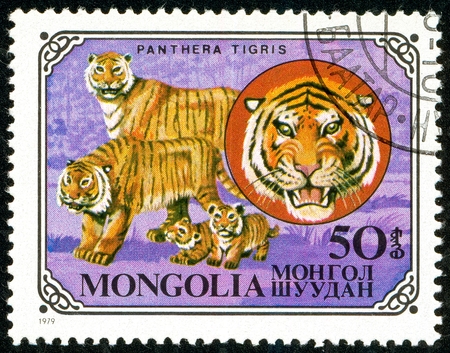 Ukraine - circa 2018: A postage stamp printed in Mongolia show Tiger or Panthera tigris. Series: Wild cats. Circa 1979.のeditorial素材