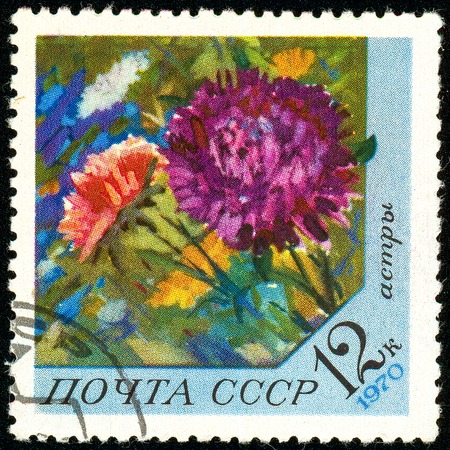 Ukraine - circa 2018: A postage stamp printed in USSR show flower Aster. Series: Flowers. Circa 1970.のeditorial素材