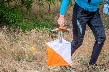 Orienteering. Check point Prism and composter for orienteering. The athlete marks the passage of the control point. Orienteering raceの写真素材