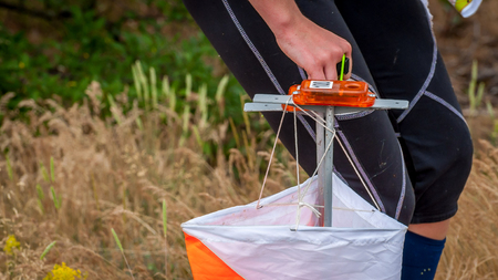 Orienteering. Check point Prism and composter for orienteering. The athlete marks the passage of the control point. Orienteering raceの写真素材