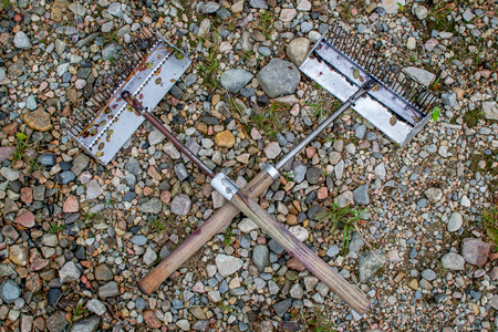 Thai comb - a tool for collecting blueberries, lingonberries in Finlandの写真素材