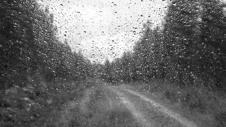 Drops of water on the glass surface. View from the cab of the car during the rain. Forest Road. Beautiful abstract. Black and white photoの写真素材