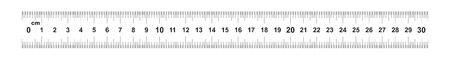 Double sided Ruler 30 centimeter or 300 mm. Value of division 0.5 mm. Precise length measurement device. Calibration gridのイラスト素材