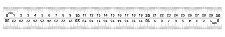 Ruler 30 centimeter. Ruler 300 mm. The direction of marking on the ruler from left to right and right to left. Value of division 0.5 mm. Precise length measurement device. Calibration grid.のイラスト素材