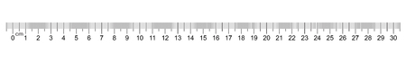 Ruler 30 centimeter. Value of division 1 mm. Precise length measurement device. Calibration gridのイラスト素材