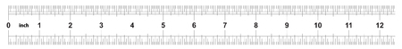 Ruler 12 inches imperial. Ruler double sided. Precise measuring tool. Calibration gridのイラスト素材