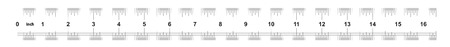 Ruler 16 inches imperial. Ruler double sided. Precise measuring tool. Calibration gridのイラスト素材