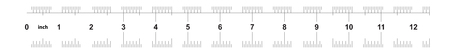Ruler 12 inches Metric. The division price is 0.05 inch. Ruler double sided. Precise measuring tool. Calibration gridのイラスト素材