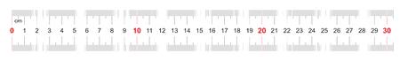Ruler of 300 millimeters. Ruler of 30 centimeters. Calibration grid. Value division 1 mm. Precise length measurement device. Two-sided measuring instrument.のイラスト素材