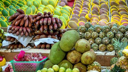Fresh tropical fruits are on the market window. Healthy, organic food. Banana, pineapple, ananas, durian, Dragon fruit, coconut, mango, mangosteen, rambutanの写真素材