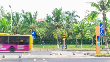 Haikou, China - May 12, 2019: View of the roadway. On the dividing line, green tropical palm trees are reinforced with metal structures to protect against frequent typhoons. Guided pedestrian crossing and traffic lightのeditorial素材