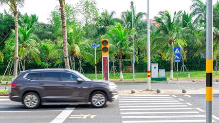 Haikou, China - May 12, 2019: View of the roadway. On the dividing line, green tropical palm trees are reinforced with metal structures to protect against frequent typhoons. Guided pedestrian crossing and traffic lightのeditorial素材