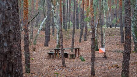 Orienteering. View of Checkpoint Prism and compost electronic and mechanical for orienteering in the autumn forest. Sports navigation equipment. Conceptの写真素材