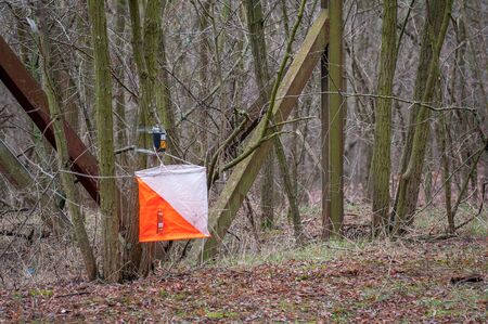 Orienteering. View of Checkpoint Prism and compost electronic and mechanical for orienteering in the autumn forest. Sports navigation equipment. Conceptの写真素材