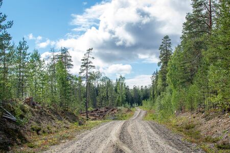 Finland. View of a scenic road passing through a forest. Beautiful Scandinavian landscapeの写真素材