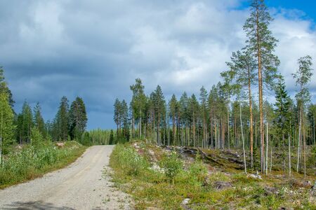 Finland. View of a scenic road passing through a forest. Beautiful Scandinavian landscapeの写真素材