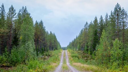 Finland. View of a scenic road passing through a forest. Beautiful Scandinavian landscapeの写真素材