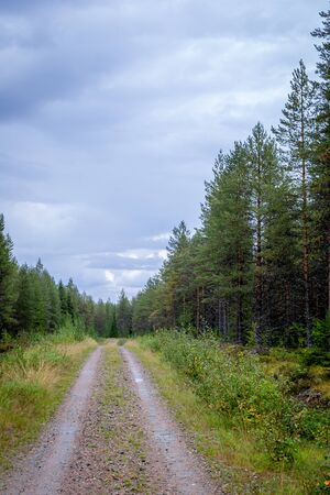 Finland. View of a scenic road passing through a forest. Beautiful Scandinavian landscapeの写真素材