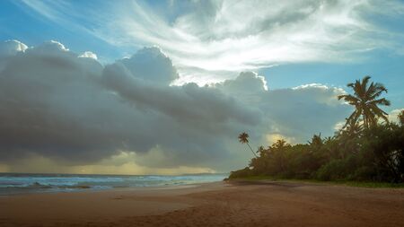 Sunset on the ocean beach, Sri Lanka.の写真素材