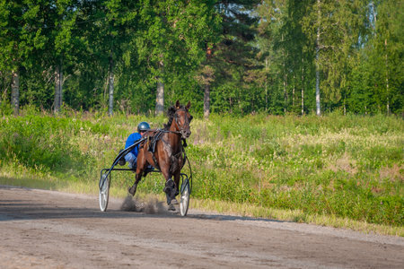 Equestrian sport. Harness racing. Horse race at hippodrome. Horses compete in harness racingの写真素材